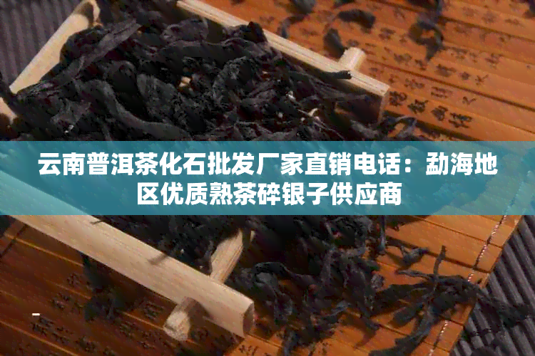 云南普洱茶化石批发厂家直销电话：勐海地区优质熟茶碎银子供应商