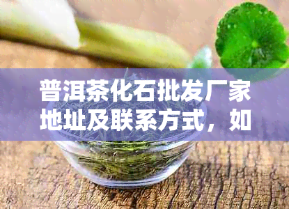 普洱茶化石批发厂家地址及联系方式，如何购买优质普洱茶化石？