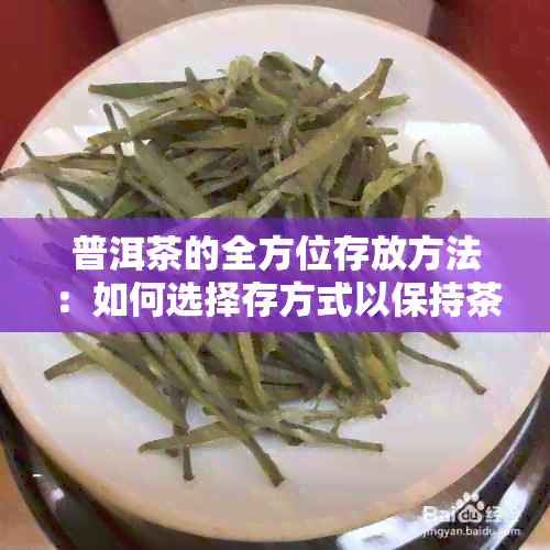 普洱茶的全方位存放方法：如何选择存方式以保持茶叶品质