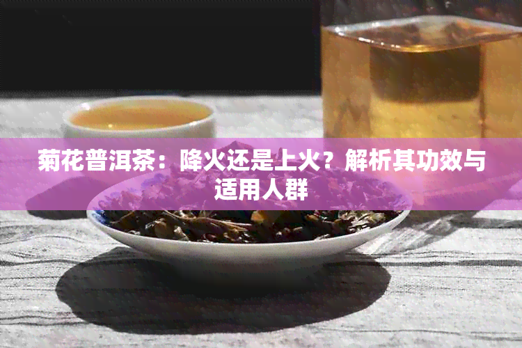 菊花普洱茶：降火还是上火？解析其功效与适用人群