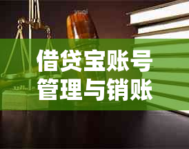 借贷宝账号管理与销账操作指南