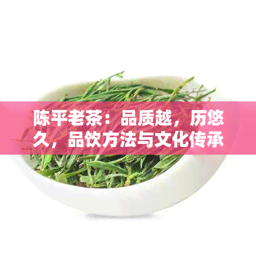 陈平老茶：品质越，历悠久，品饮方法与文化传承一览无余