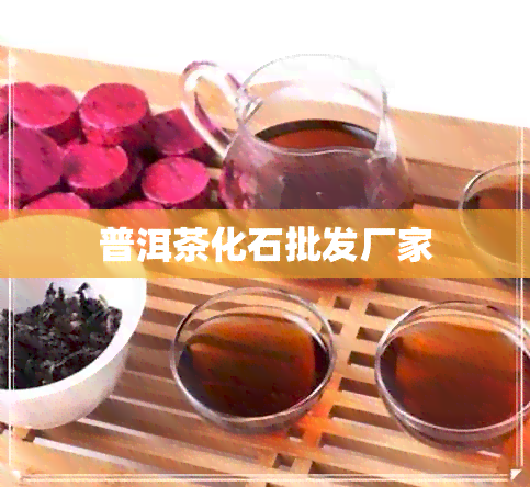 普洱茶化石批发厂家