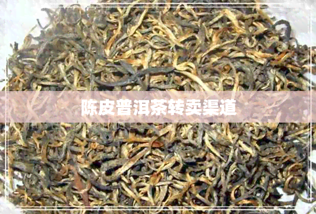 陈皮普洱茶转卖渠道