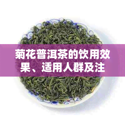 菊花普洱茶的饮用效果、适用人群及注意事项：上火？能喝吗？