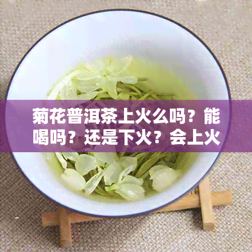 菊花普洱茶上火么吗？能喝吗？还是下火？会上火吗？