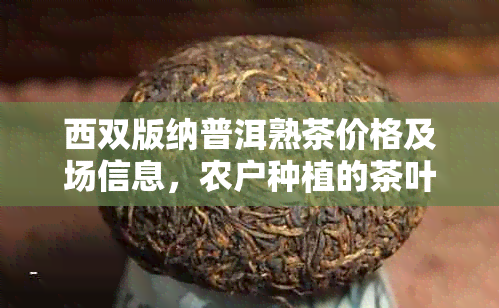 西双版纳普洱熟茶价格及场信息，农户种植的茶叶品种多样