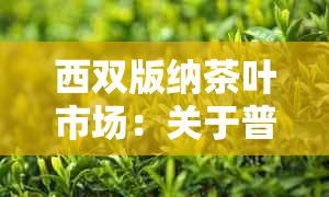 西双版纳茶叶市场：关于普洱茶的购买及价格解析