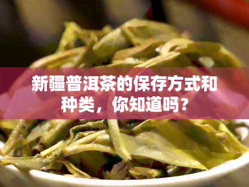 新疆普洱茶的保存方式和种类，你知道吗？