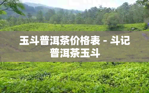 玉斗普洱茶价格表 - 斗记普洱茶玉斗