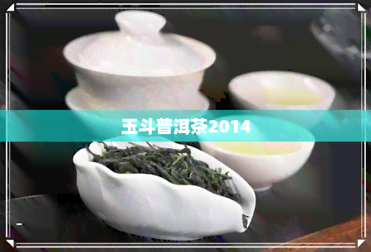 玉斗普洱茶2014