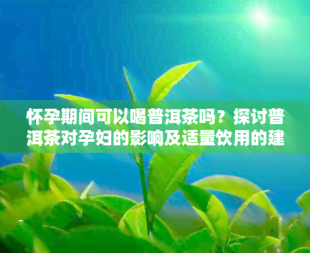 怀孕期间可以喝普洱茶吗？探讨普洱茶对孕妇的影响及适量饮用的建议