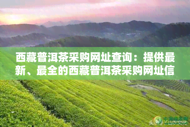  *** 普洱茶采购网址查询：提供最新、最全的 *** 普洱茶采购网址信息。