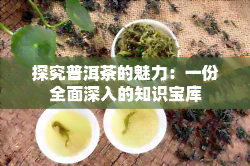 探究普洱茶的魅力：一份全面深入的知识宝库