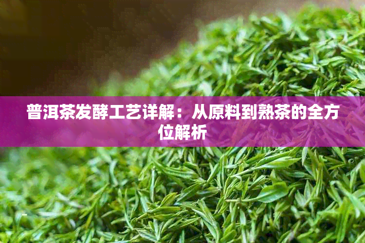 普洱茶发酵工艺详解：从原料到熟茶的全方位解析