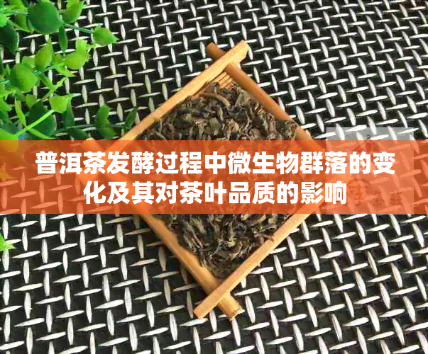 普洱茶发酵过程中微生物群落的变化及其对茶叶品质的影响