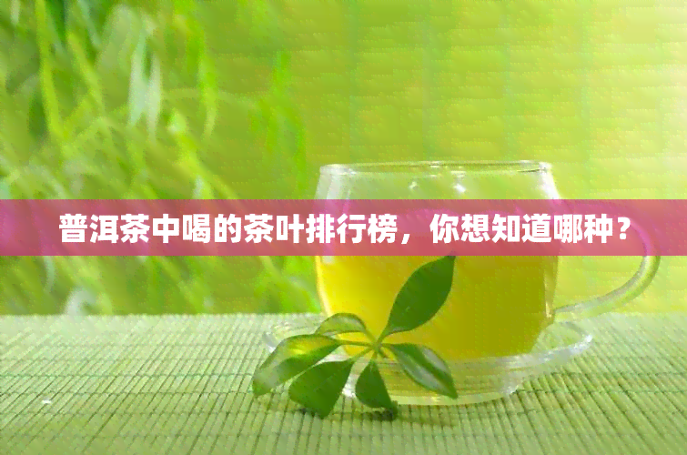 普洱茶中喝的茶叶排行榜，你想知道哪种？