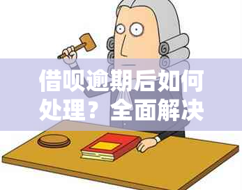 借呗逾期后如何处理？全面解决用户逾期还款及相关问题