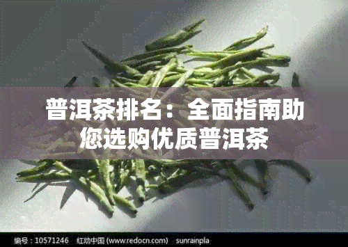 普洱茶排名：全面指南助您选购优质普洱茶