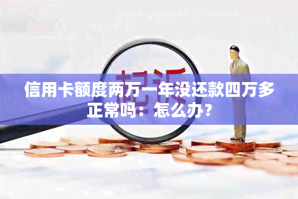 信用卡额度两万一年没还款四万多正常吗：怎么办？