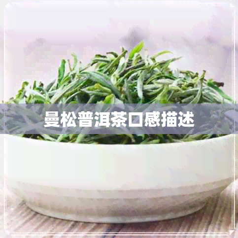 曼松普洱茶口感描述