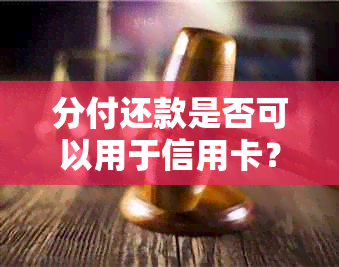 分付还款是否可以用于信用卡？了解详细操作步骤和限制条件