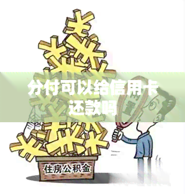 分付可以给信用卡还款吗