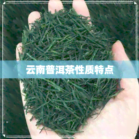 云南普洱茶性质特点