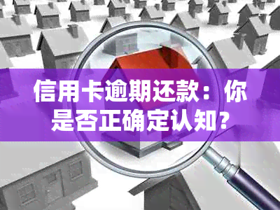 信用卡逾期还款：你是否正确定认知？