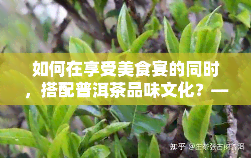 如何在享受美食宴的同时，搭配普洱茶品味文化？——全面指南