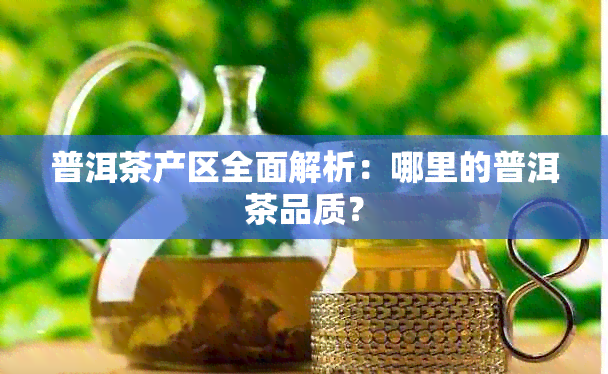 普洱茶产区全面解析：哪里的普洱茶品质？