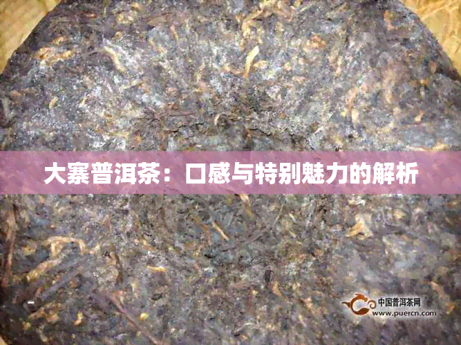 大寨普洱茶：口感与特别魅力的解析