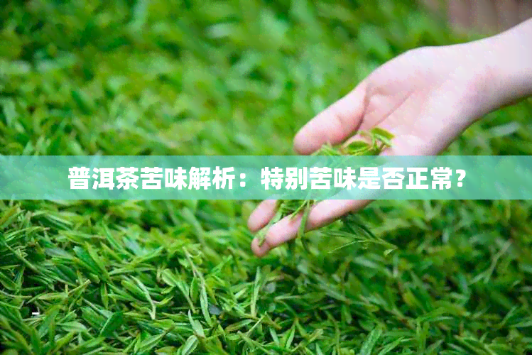 普洱茶苦味解析：特别苦味是否正常？