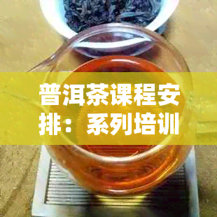 普洱茶课程安排：系列培训、课件与教学，深入了解普洱茶魅力