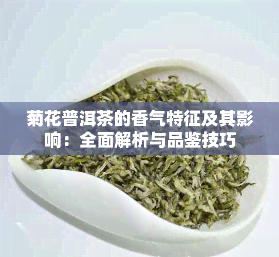 菊花普洱茶的香气特征及其影响：全面解析与品鉴技巧