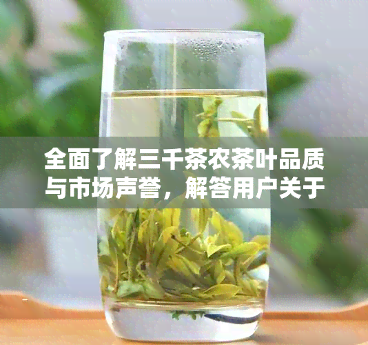 全面了解三千茶农茶叶品质与市场声誉，解答用户关于茶叶的所有疑问