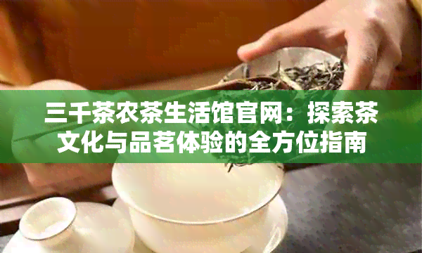 三千茶农茶生活馆官网：探索茶文化与品茗体验的全方位指南