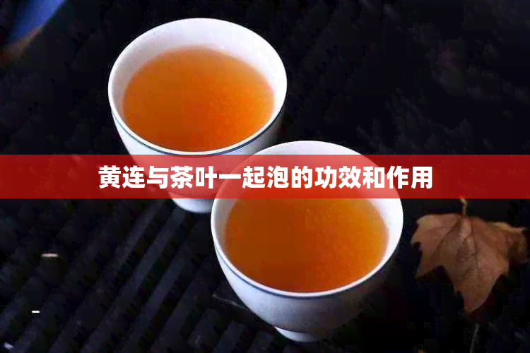 黄连与茶叶一起泡的功效和作用