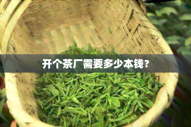 开个茶厂需要多少本钱？