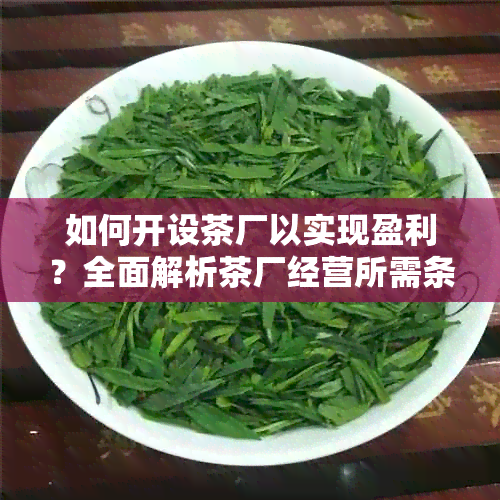 如何开设茶厂以实现盈利？全面解析茶厂经营所需条件和注意事项