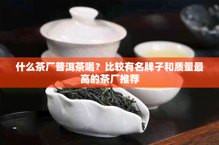 什么茶厂普洱茶喝？比较有名牌子和质量更高的茶厂推荐