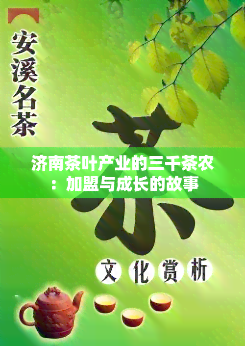 济南茶叶产业的三千茶农：加盟与成长的故事