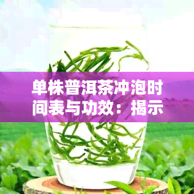 单株普洱茶冲泡时间表与功效：揭示每一株的独特魅力与风味