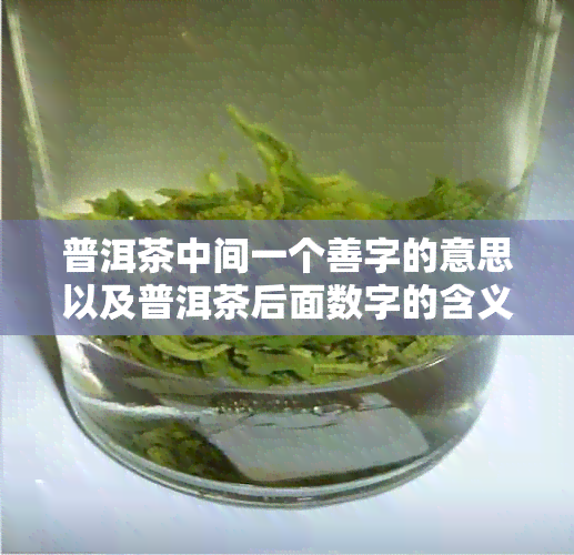 普洱茶中间一个善字的意思以及普洱茶后面数字的含义。