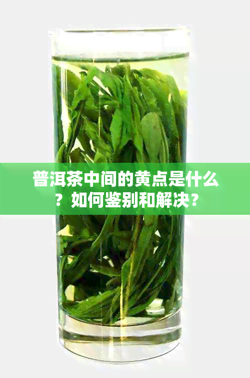 普洱茶中间的黄点是什么？如何鉴别和解决？