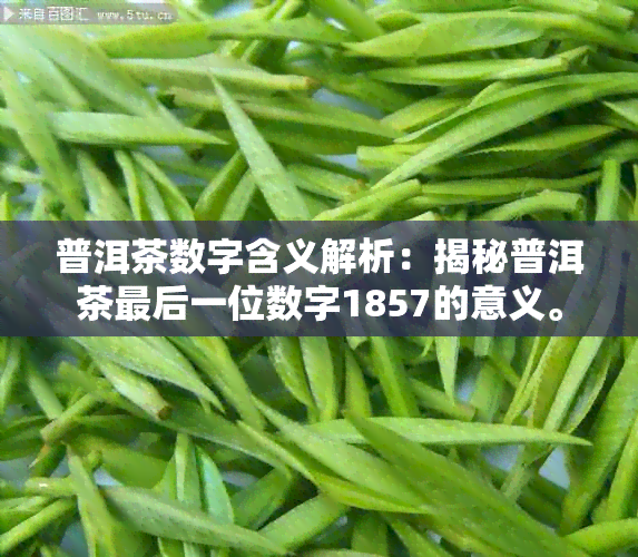 普洱茶数字含义解析：揭秘普洱茶最后一位数字1857的意义。