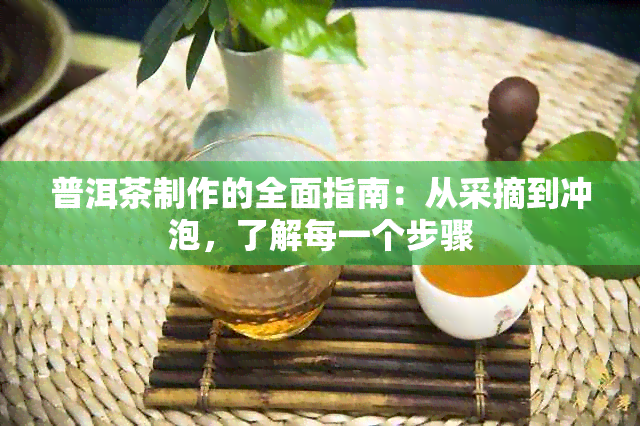 普洱茶制作的全面指南：从采摘到冲泡，了解每一个步骤