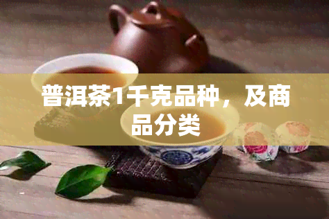 普洱茶1千克品种，及商品分类