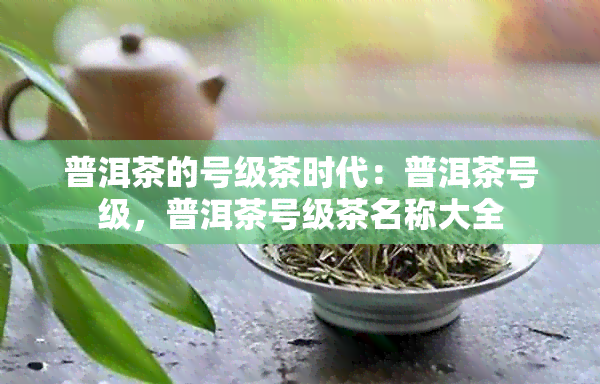 普洱茶的号级茶时代：普洱茶号级，普洱茶号级茶名称大全