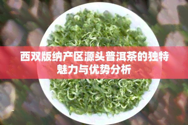 西双版纳产区源头普洱茶的独特魅力与优势分析